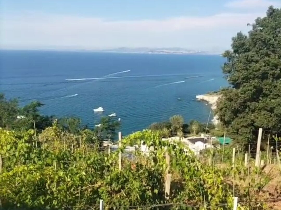 Hotel Villa Ireos主图