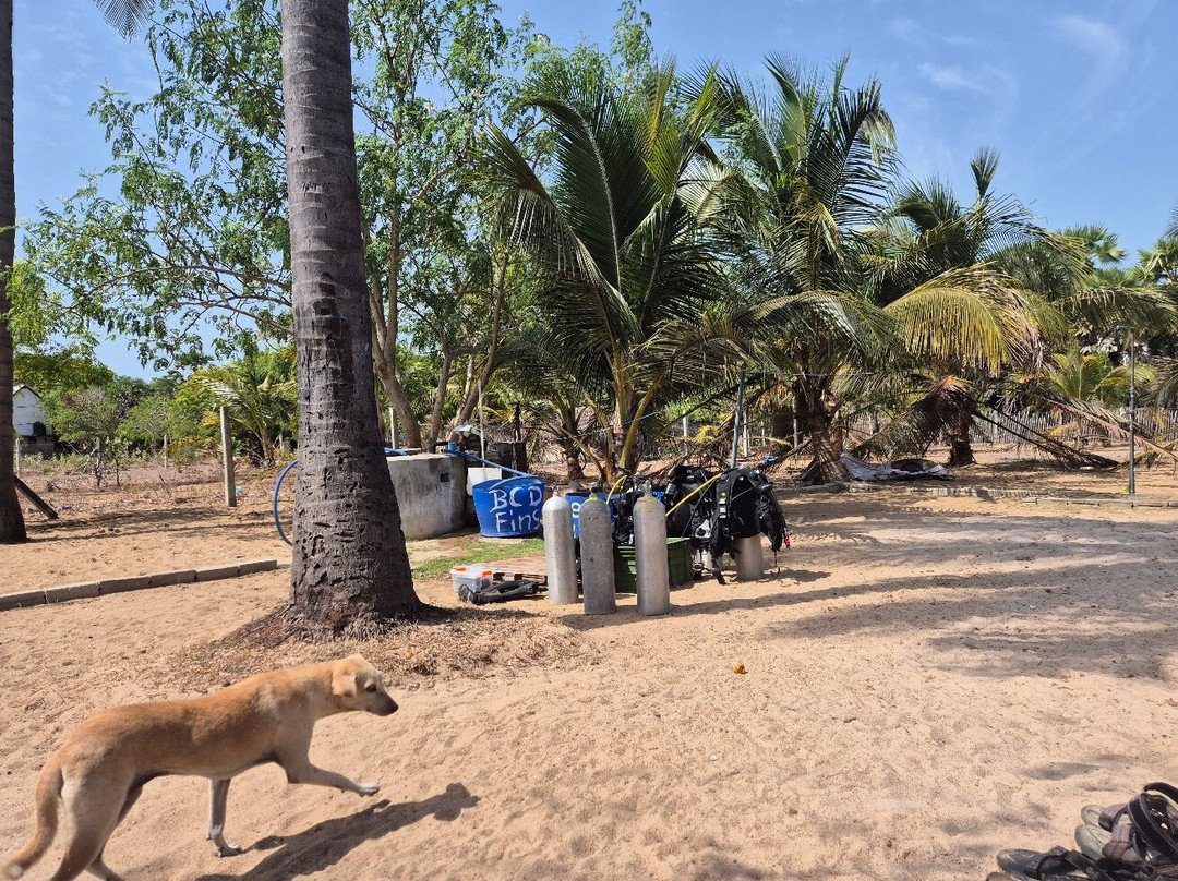 Scuba Addicts Dive Center Passikuda-卡尔库达必去景点