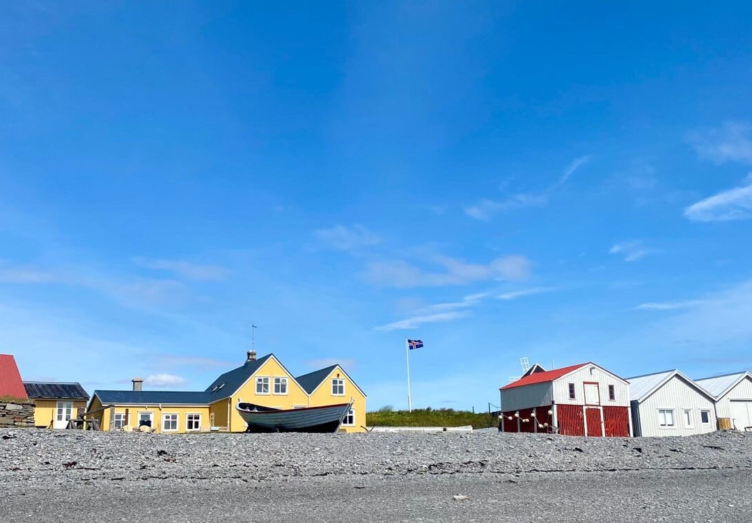 Vigur Island-伊萨菲厄泽必去景点