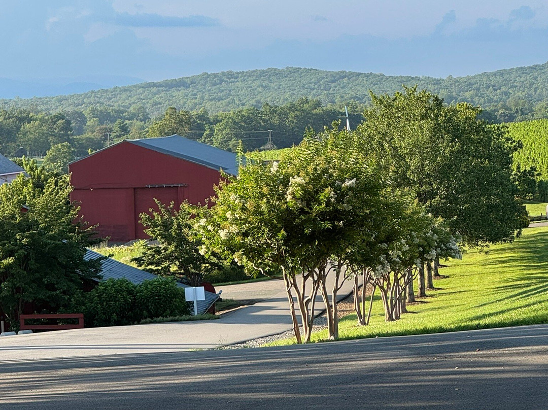 Barboursville Vineyards and Historic Ruins-Barboursville必去景点