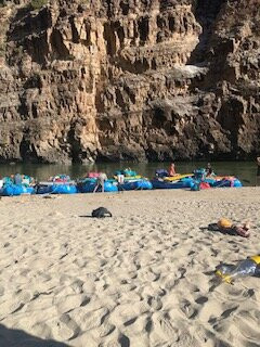 Adrift Dinosaur-Jensen必去景点