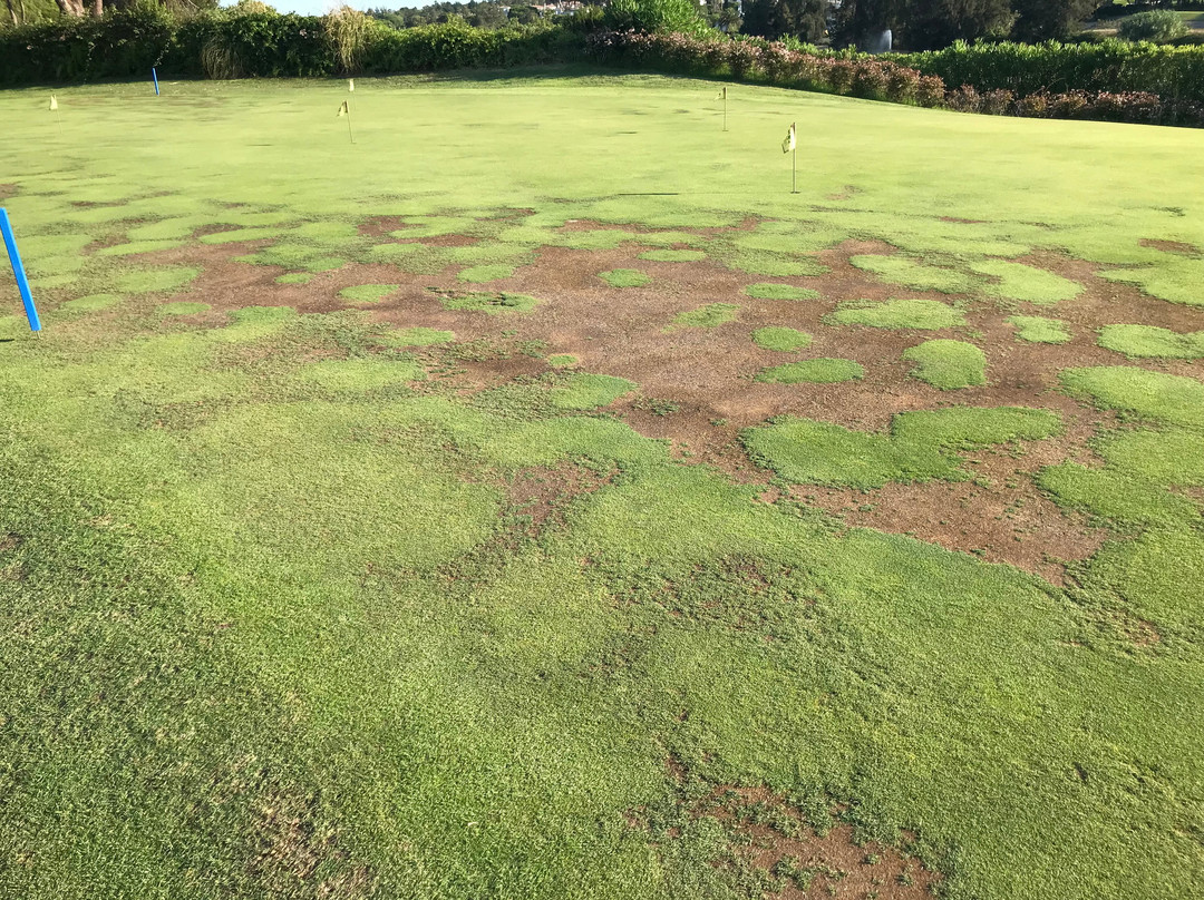 Pinheiros Altos-阿尔加威必去景点