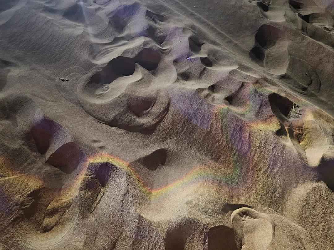 Star Iconic Travel-迪拜必去景点