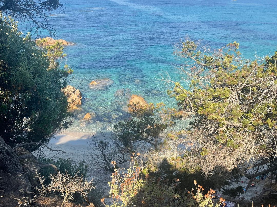 Plage Cupabia-Coti-Chiavari必去景点