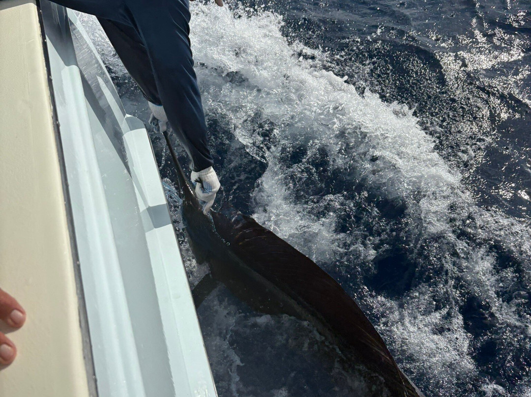 Captain Tom's Big Game Sportfishing-梦城必去景点