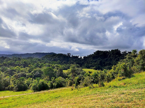 Cassowary Falls ATV Tours-Daintree必去景点