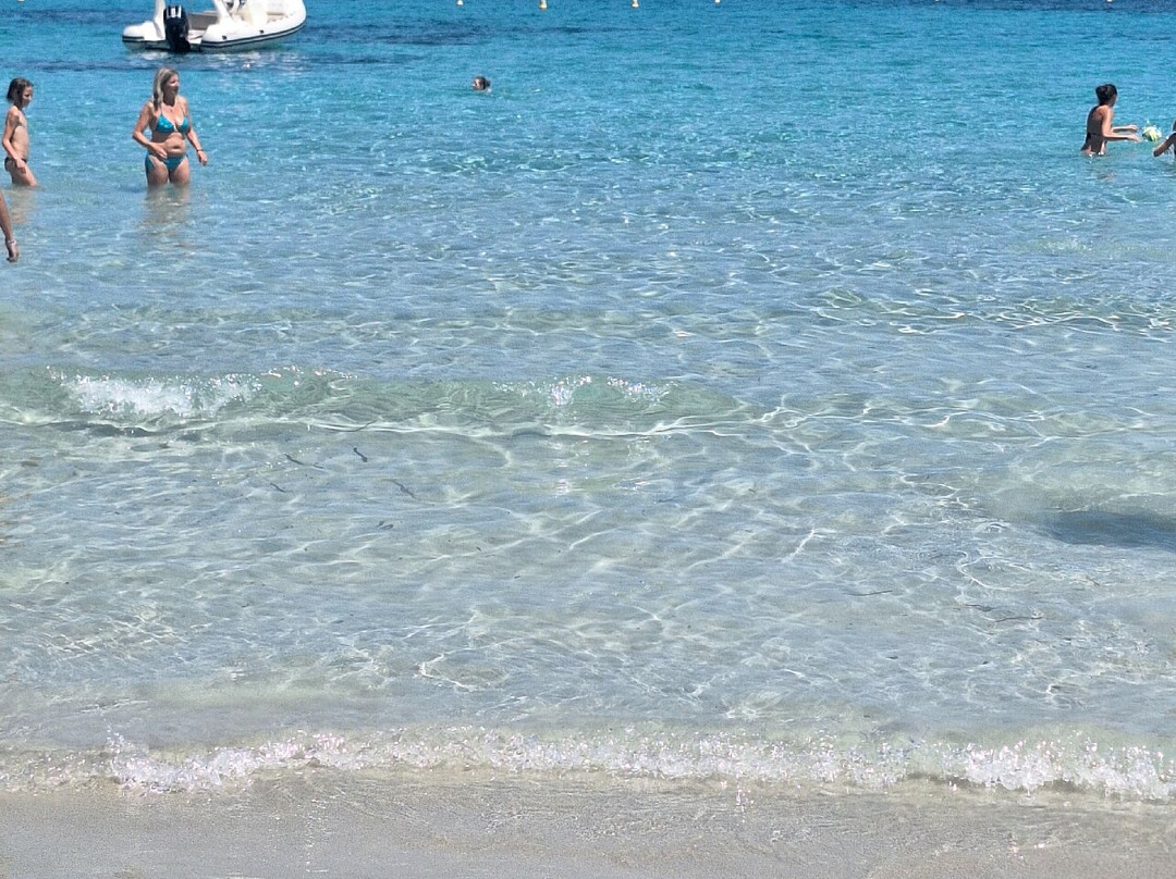 Plage de Tamaricciu-维琪奥港必去景点