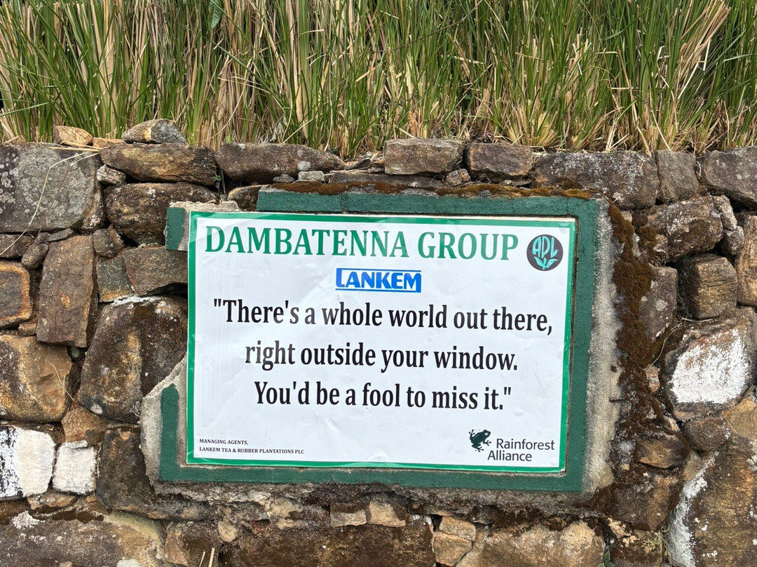 Dambatenne Tea Factory-哈普特莱必去景点