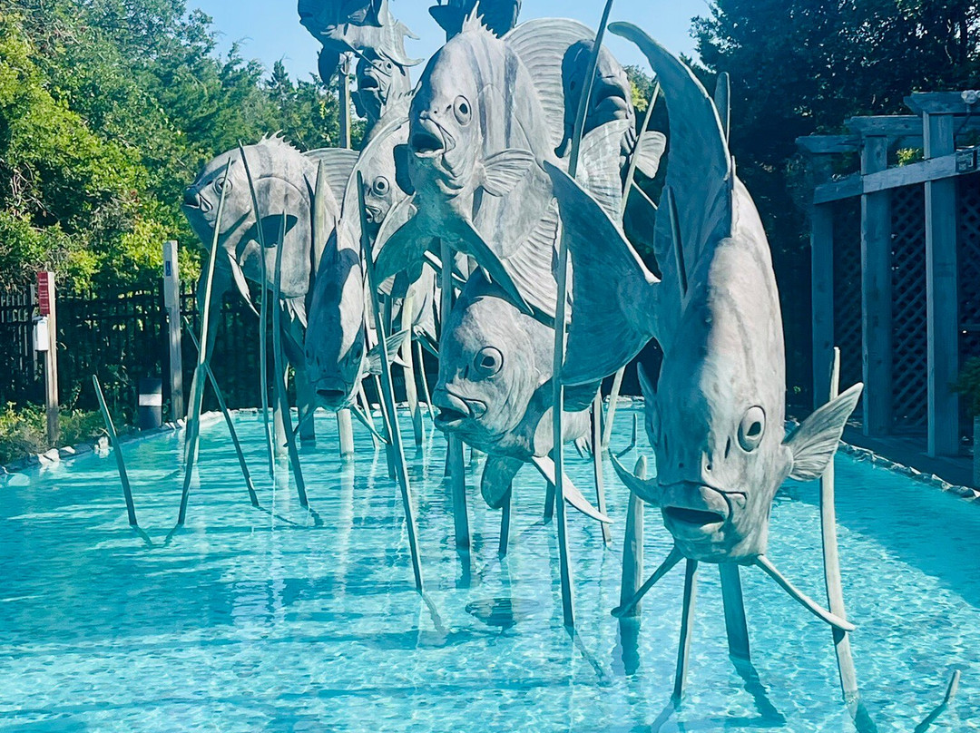 North Carolina Aquarium at Fort Fisher-Kure Beach必去景点