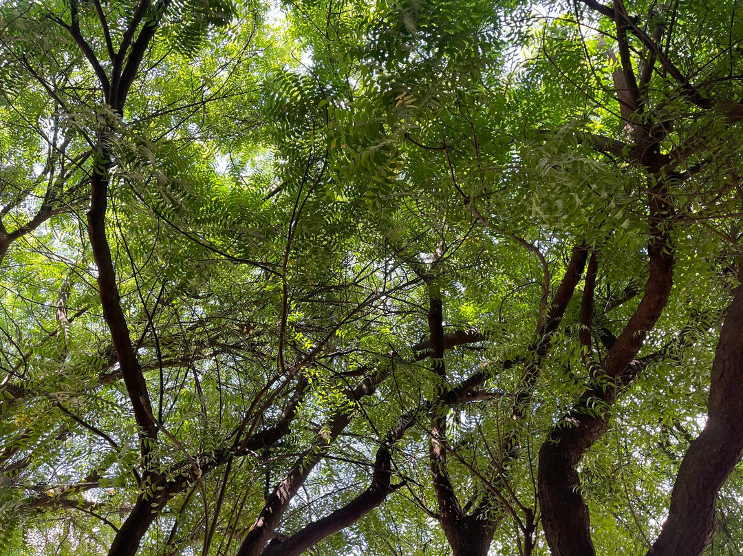 Suuel Hotel Adults Only