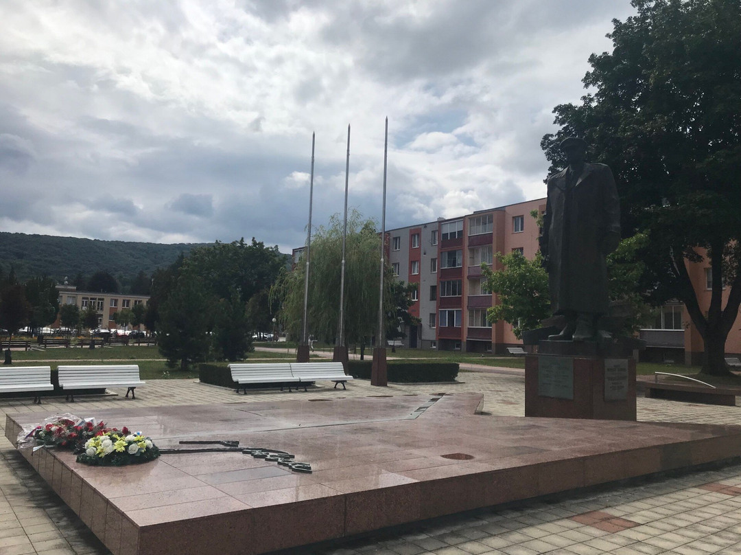 Turistické Informačné Centrum Svidník