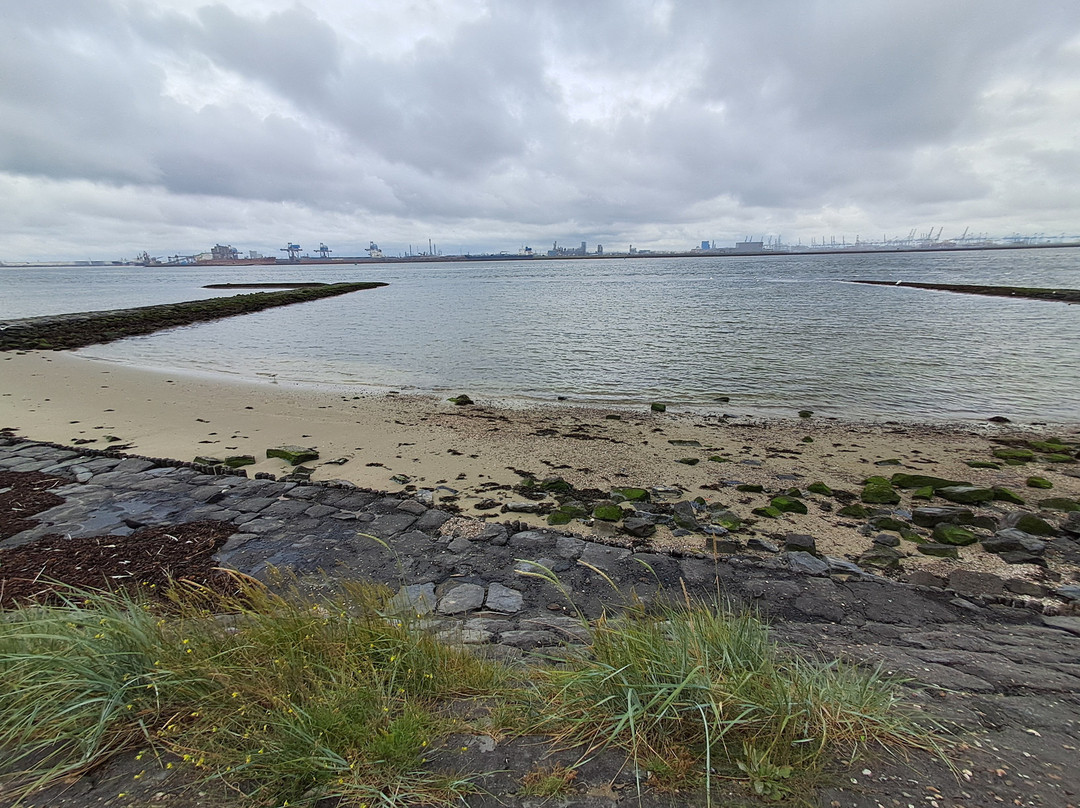 Naaktstrand Hoek van Holland-Hoek van Holland必去景点