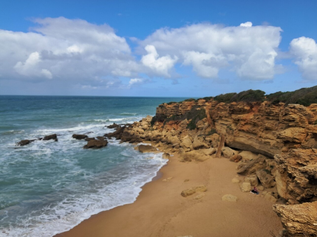 Calas de Roche-Conil de la Frontera必去景点