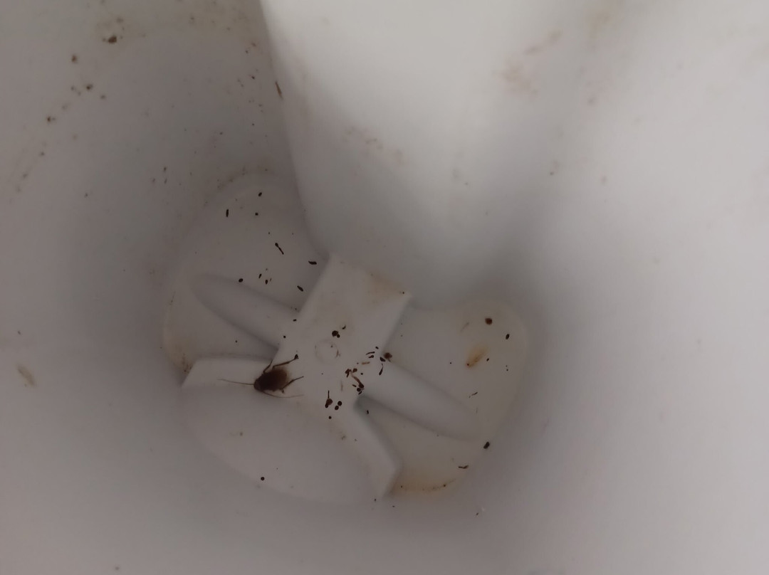 Columbia Lakes Resort and Country Club主图