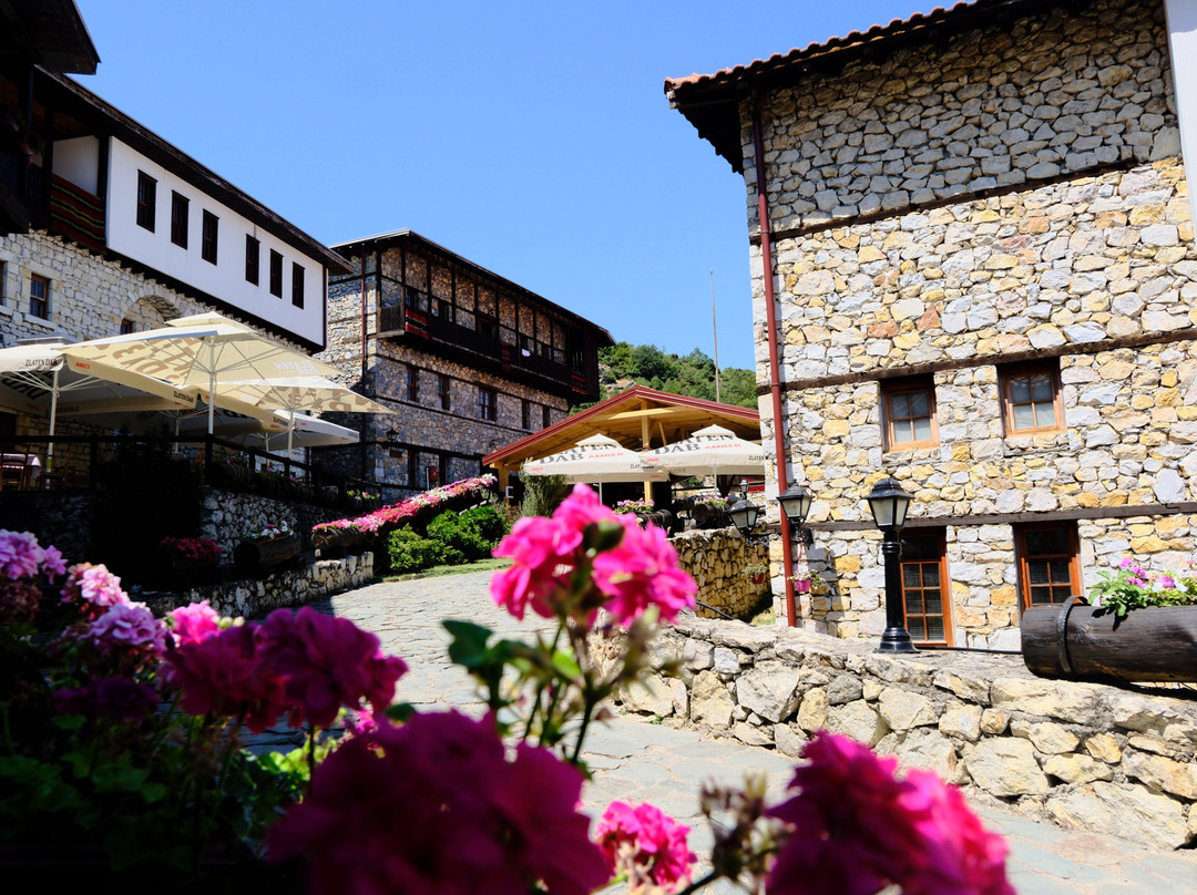 Skopje Daily Tours-斯科普里必去景点