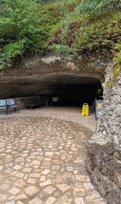 Rouffignac Cave-Rouffignac-Saint-Cernin-de-Reilhac必去景点