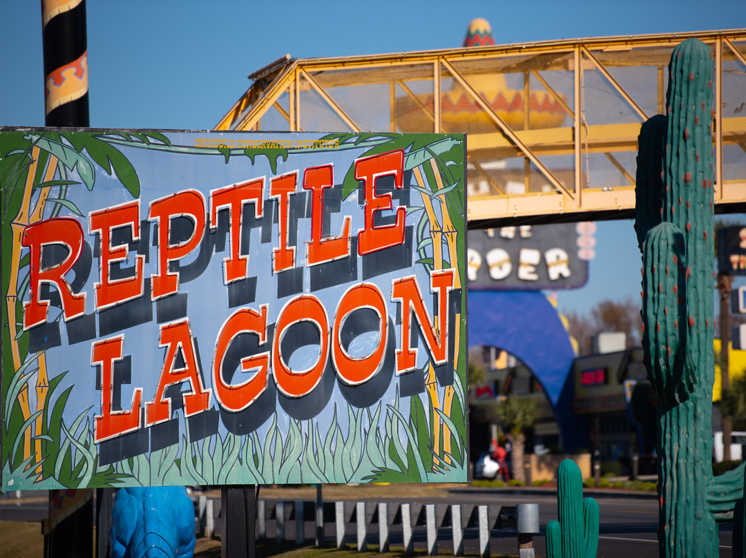 Reptile Lagoon-Hamer必去景点