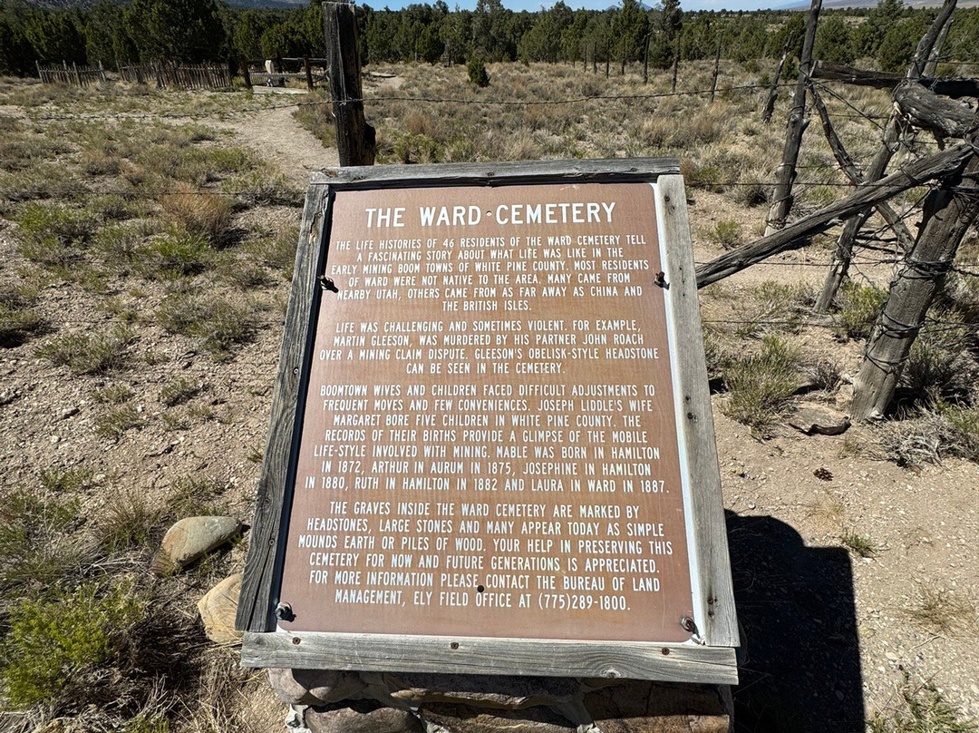 Mining Town Of Ward-Ely必去景点