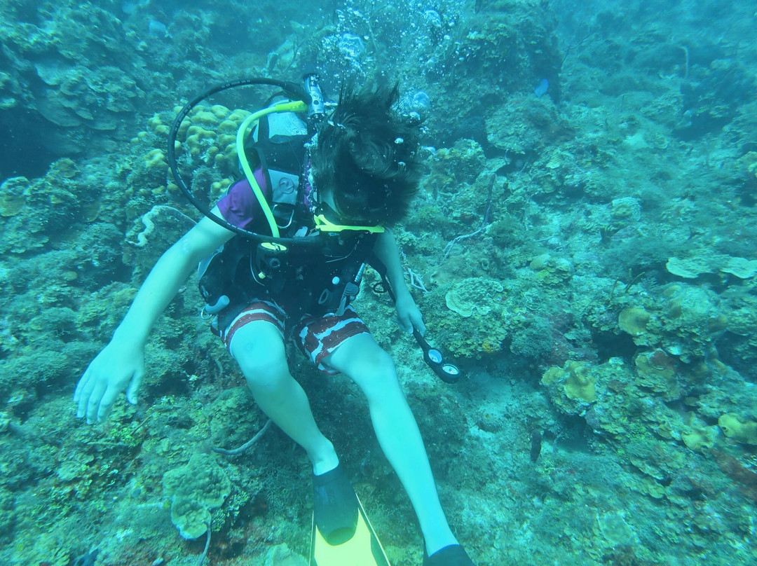 JJ Divers St Thomas-夏洛特阿马利亚必去景点