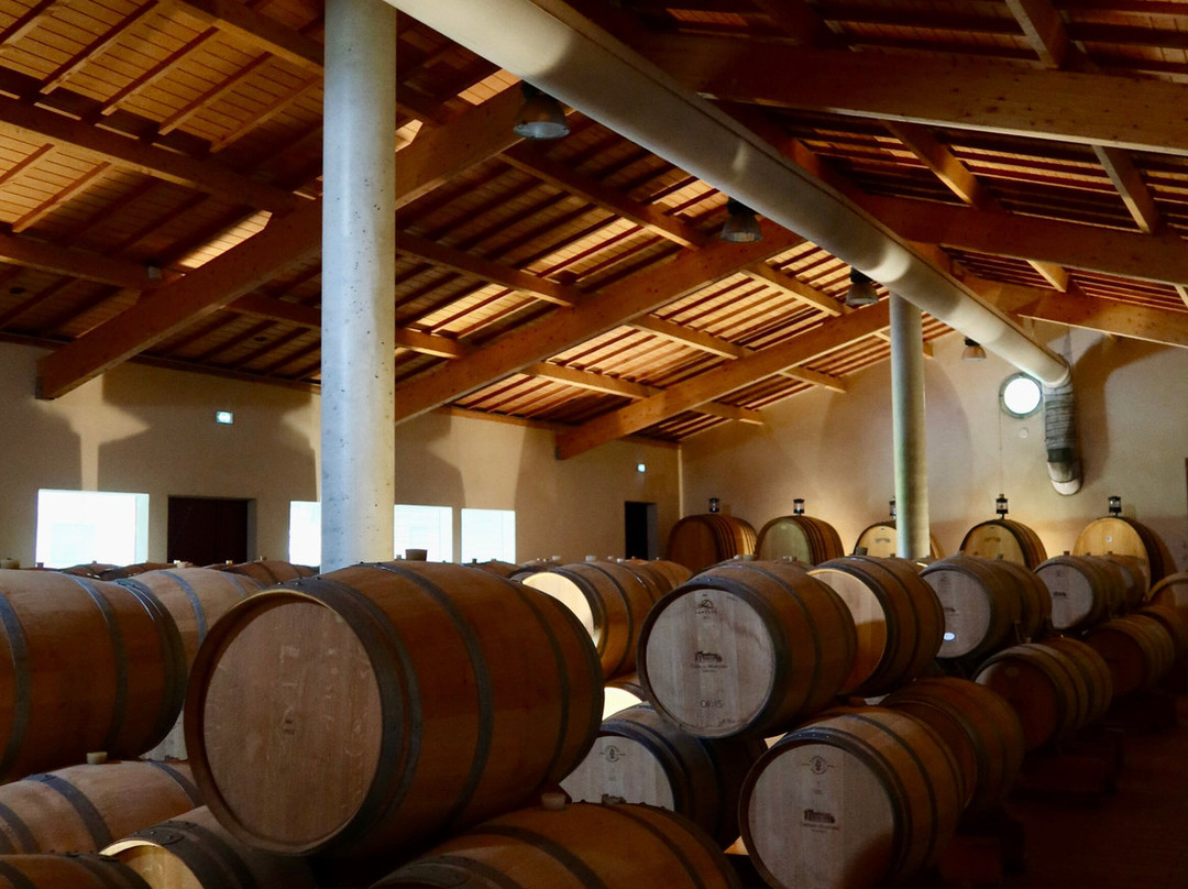 Château Mazeyres-利布尔纳必去景点