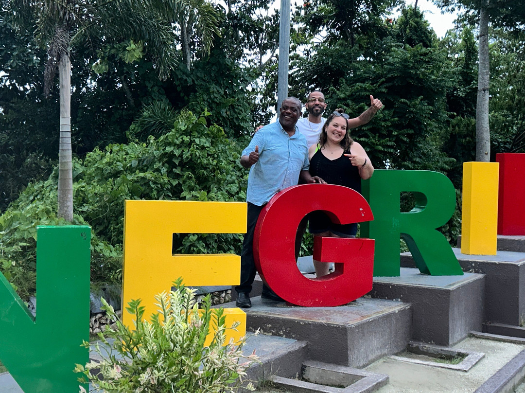 Jamaica's Happy Times Fun Tours-蒙特戈贝必去景点