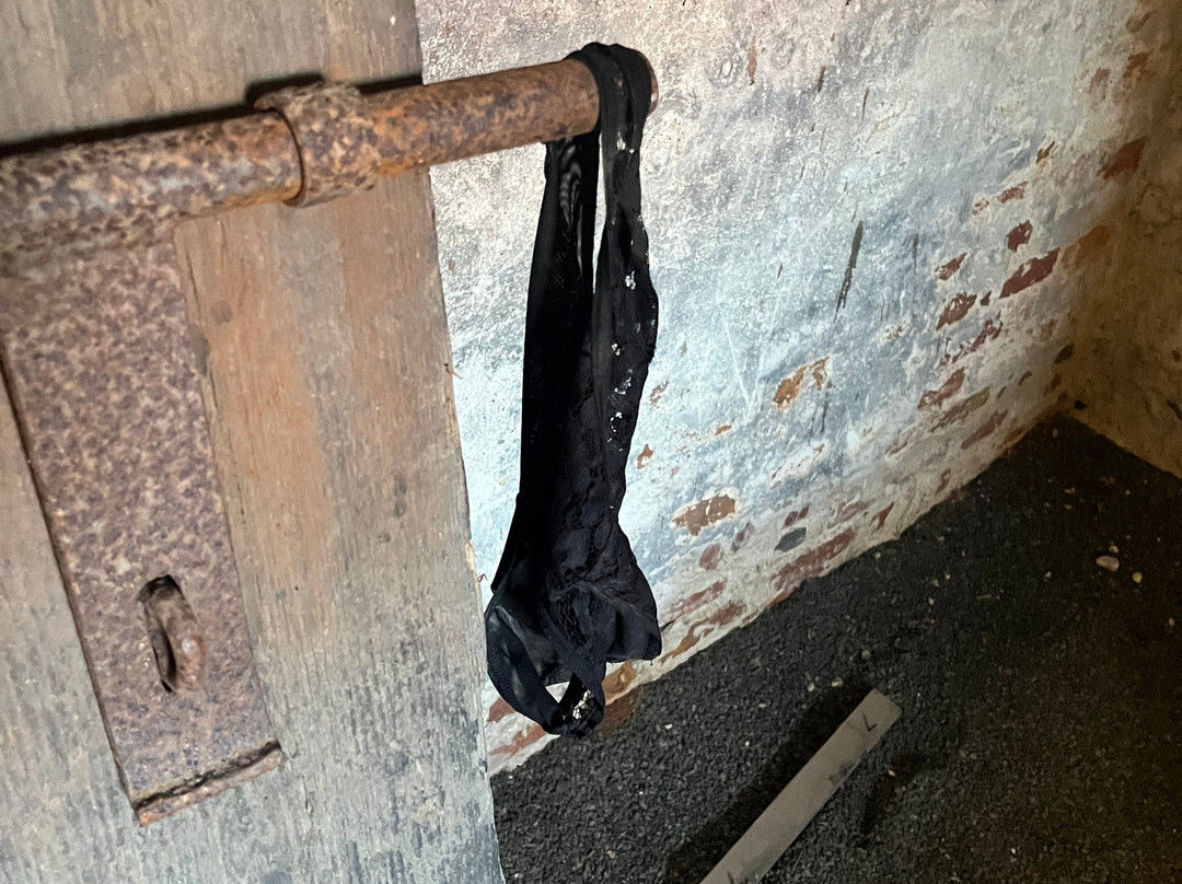 Alvsborgs Nya Fastning-哥德堡必去景点