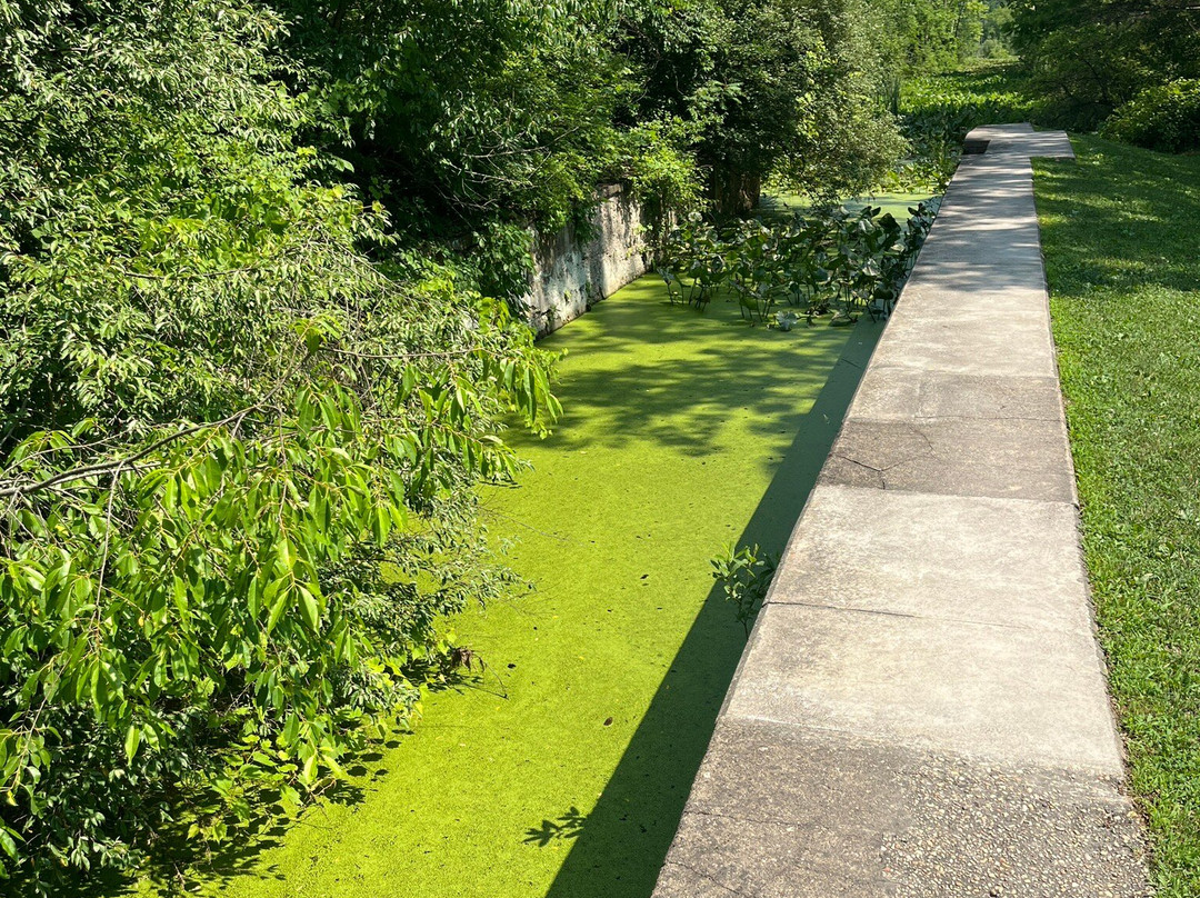 Beaver Marsh-Peninsula必去景点