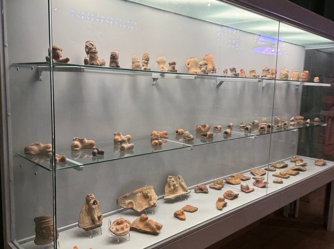 Museu do Marajo-Cachoeira Do Arari必去景点