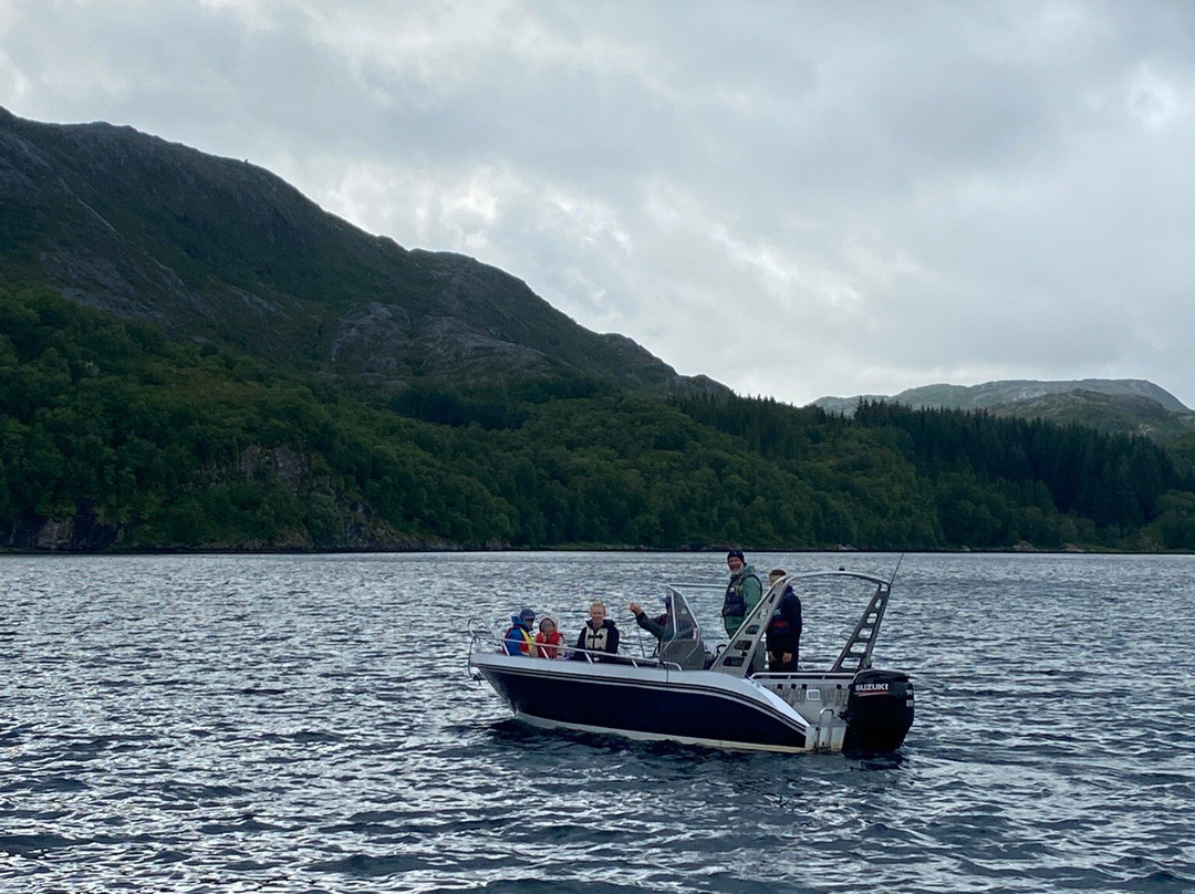 Brygga Pa Donna主图