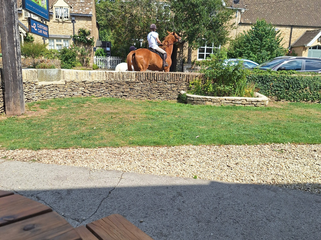 Cat and Custard Pot Inn主图