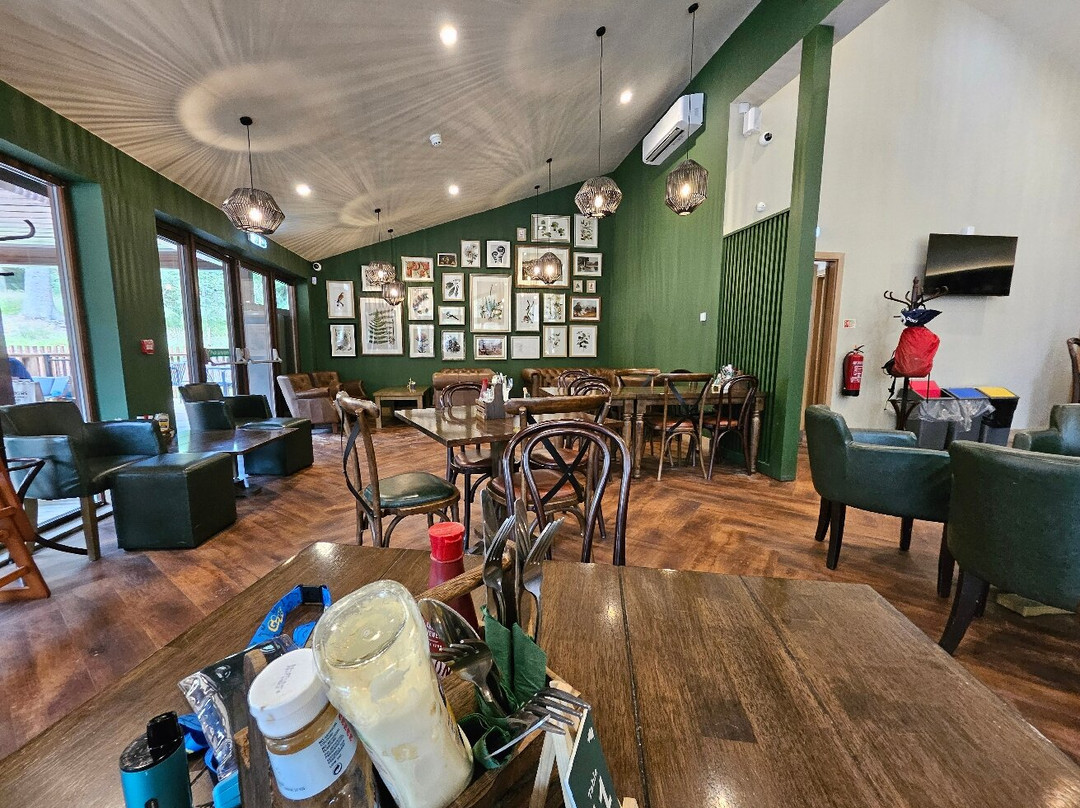 Go Ape Glentress Forest, Peebles-皮布尔斯必去景点