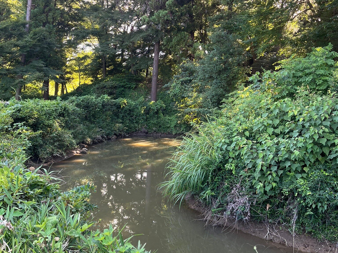 Sugaya Castle Ruins-岚山町必去景点
