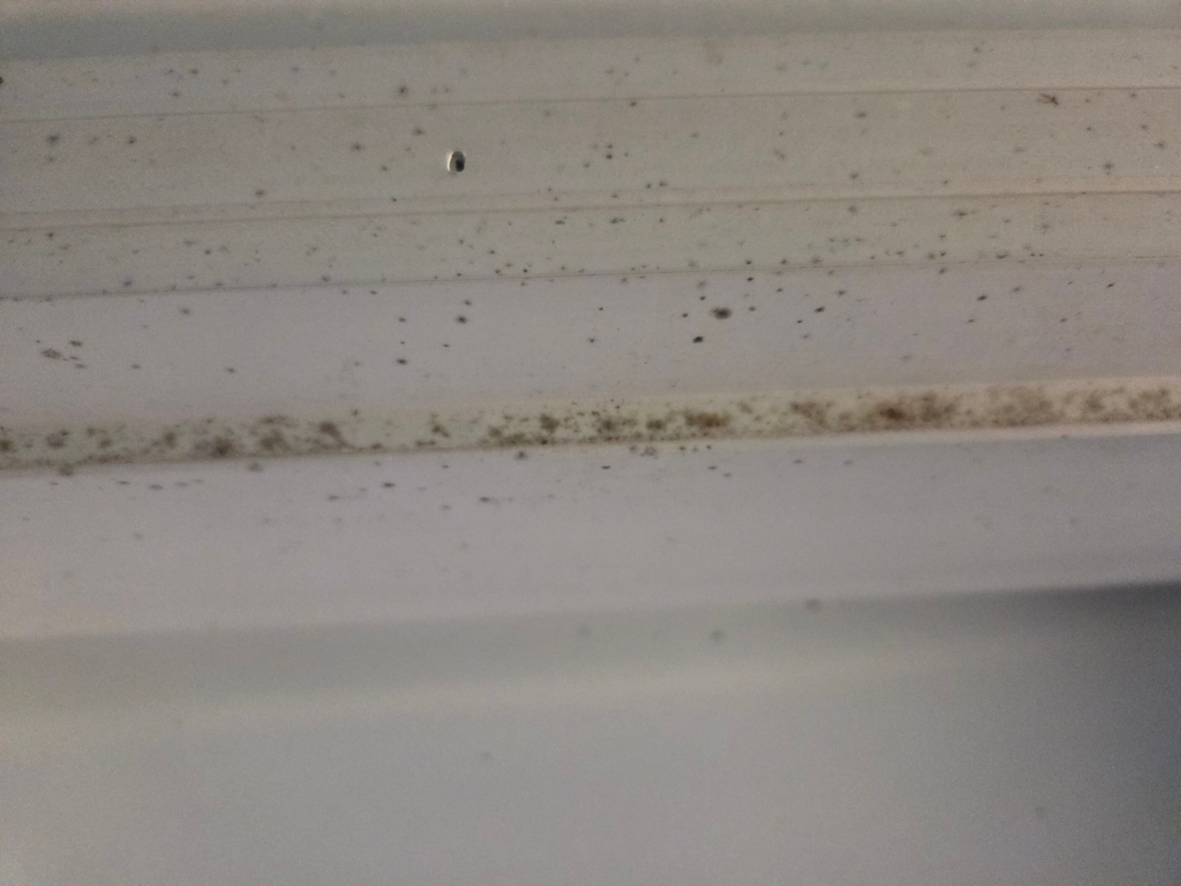 Coach House Inn-官方