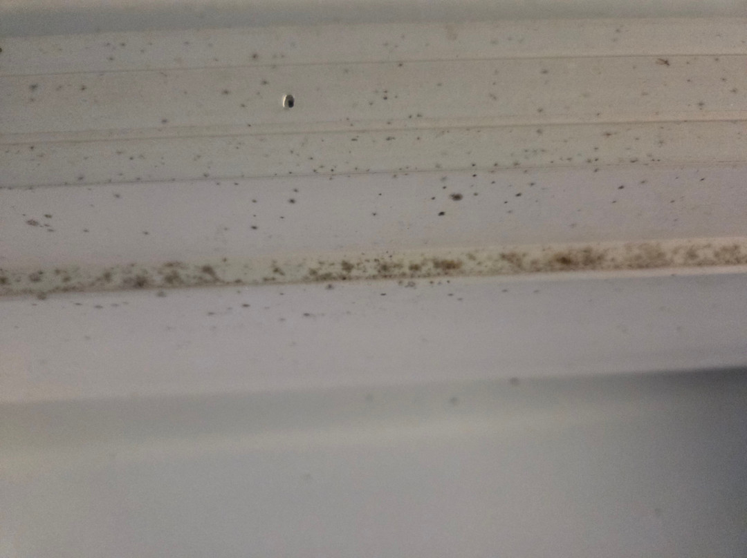 Coach House Inn主图