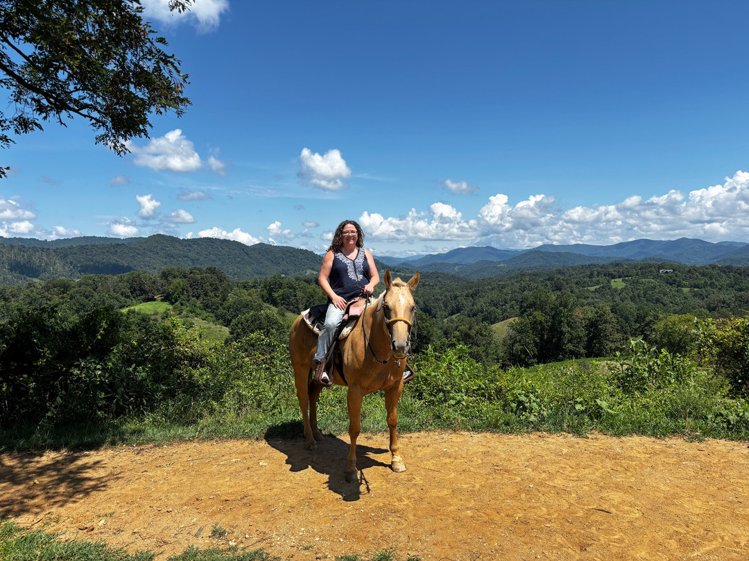 Sandy Bottom Trail Rides-Marshall必去景点