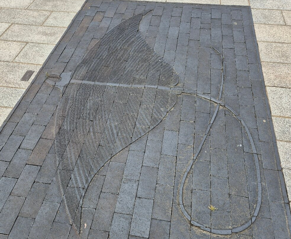 Seven Seas Fish Trail-赫尔河畔金斯顿必去景点