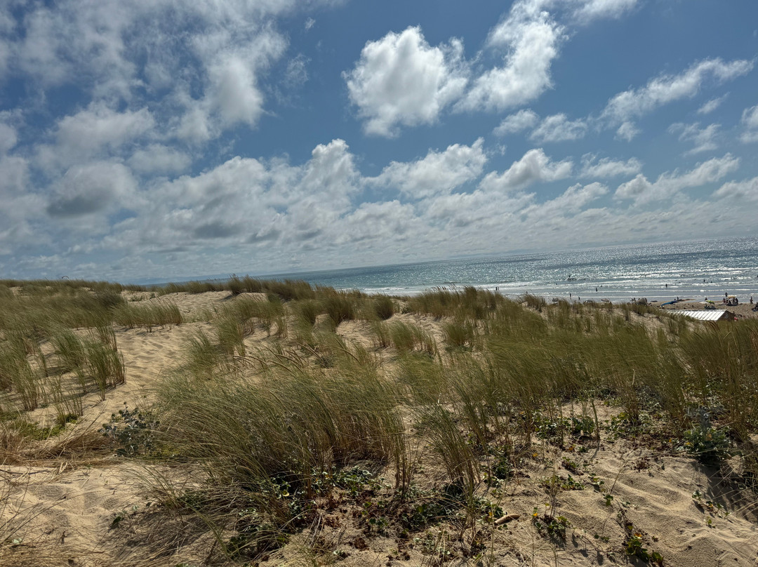 Plage Truc Vert-莱格卡弗尔雷必去景点
