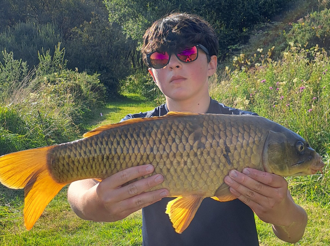 Yet-Y-Gors Campsite and Fishery Fishguard-Dwrbach必去景点