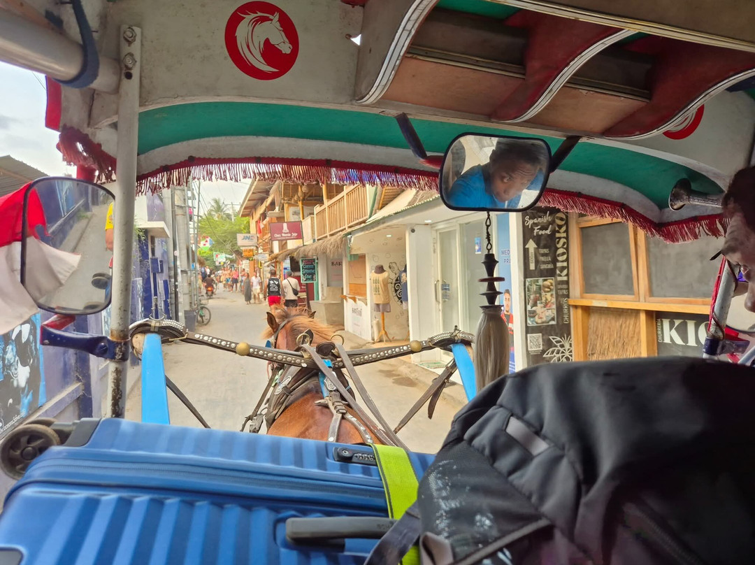 Blue Marlin Dive Gili Air-Gili Air必去景点