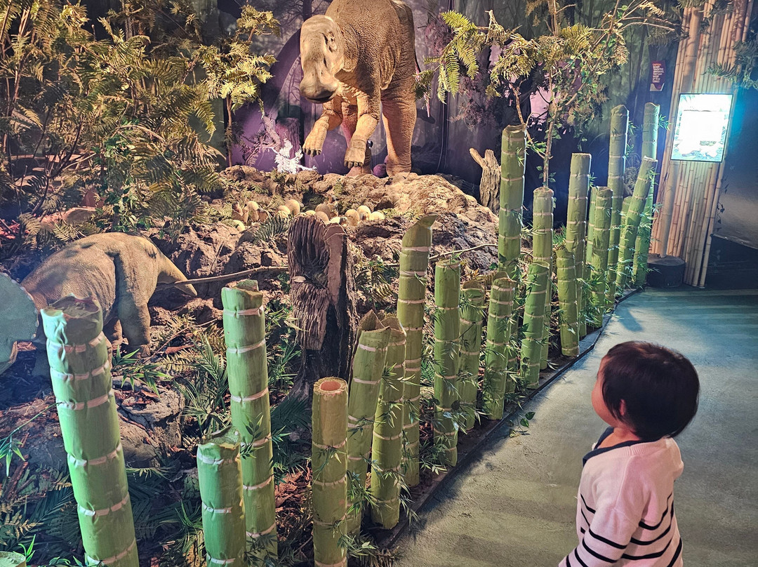 Jurassic Discovery-Seaton必去景点