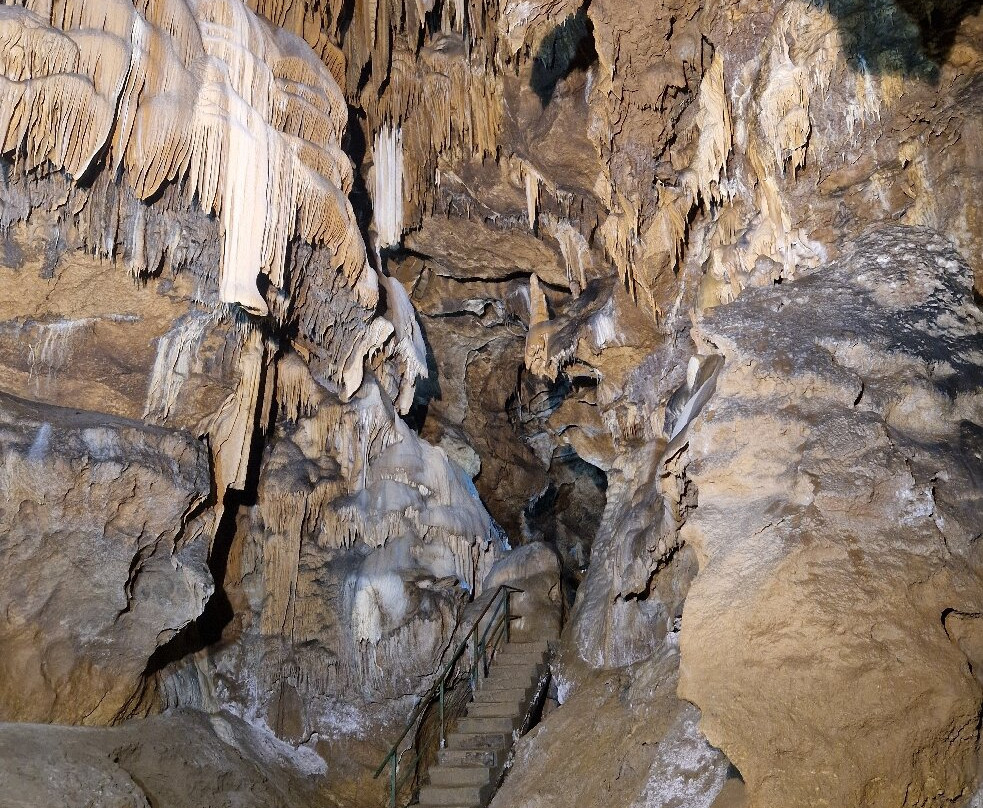 Bogovinska Cave