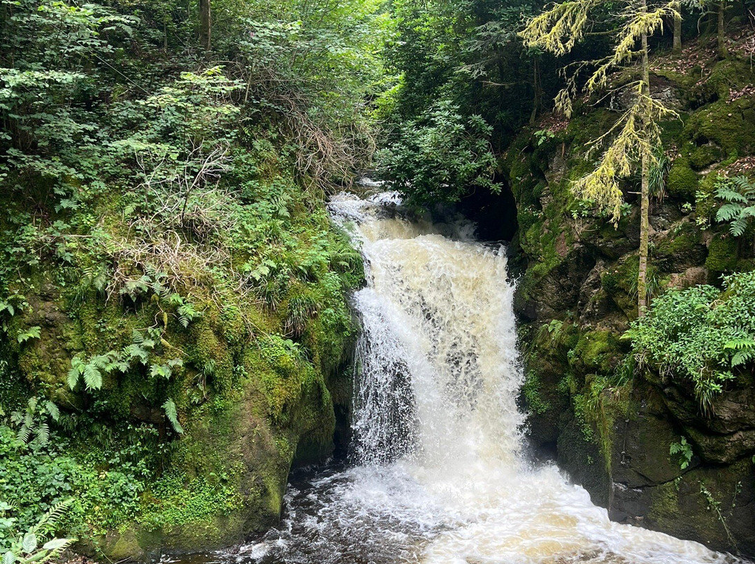 Geroldsau Waterfall-巴登巴登必去景点