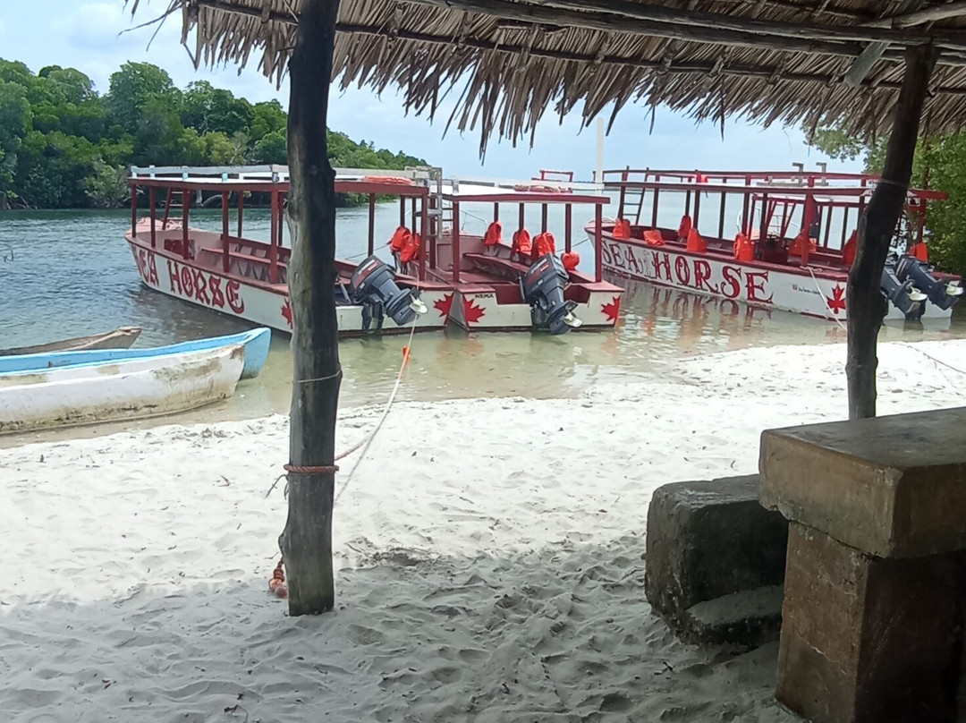 Scopri il Kenya con Nicholas-瓦塔木必去景点