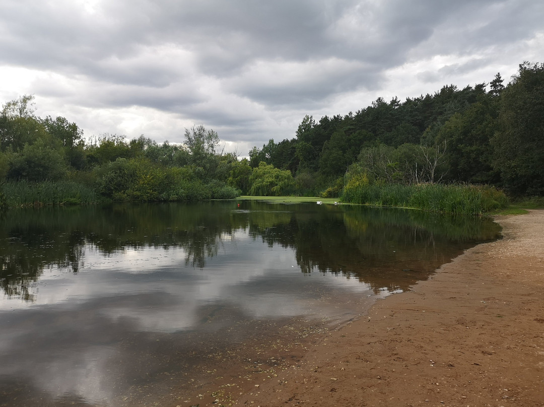 Walesby Forest-特伦特河畔纽瓦克必去景点