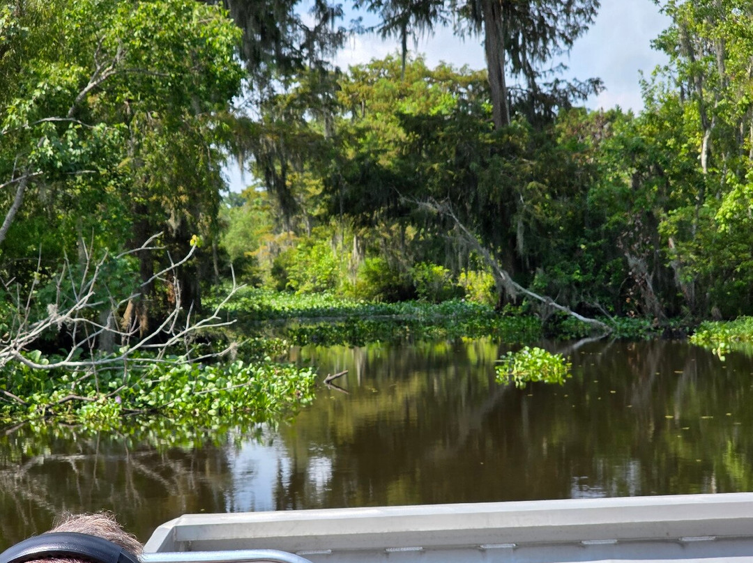 Ultimate Swamp Adventures-Westwego必去景点