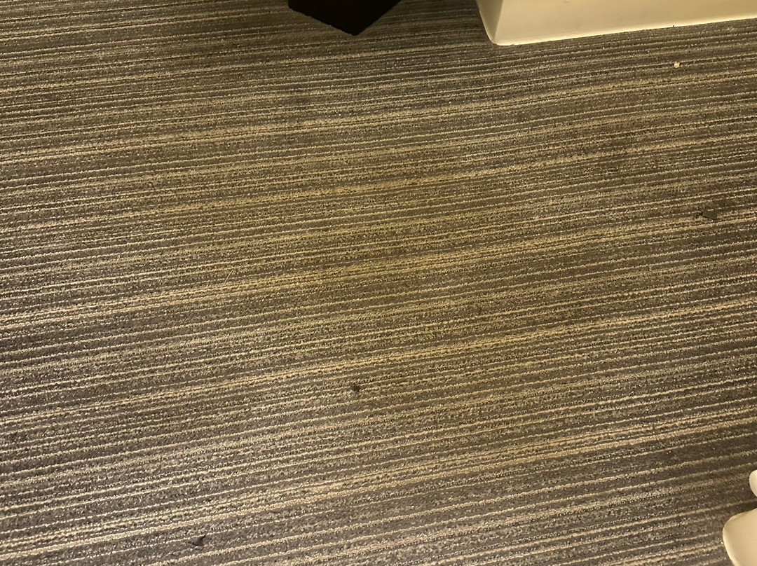 Sonesta ES Suites Chicago - Schaumburg主图