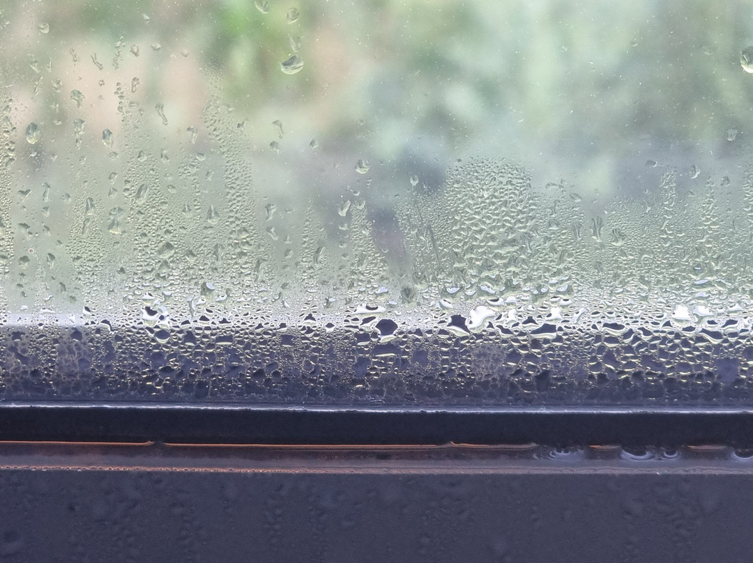 格拉斯哥牛顿默恩斯（M77 J4）普瑞米尔酒店主图