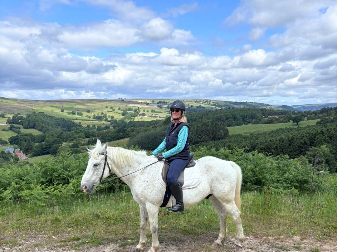 Bilsdale Riding Centre-Hawnby必去景点