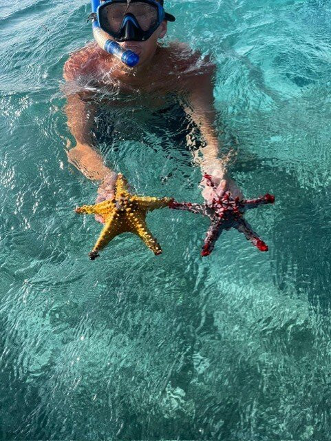 Mo Tours & Safaris-石头城必去景点