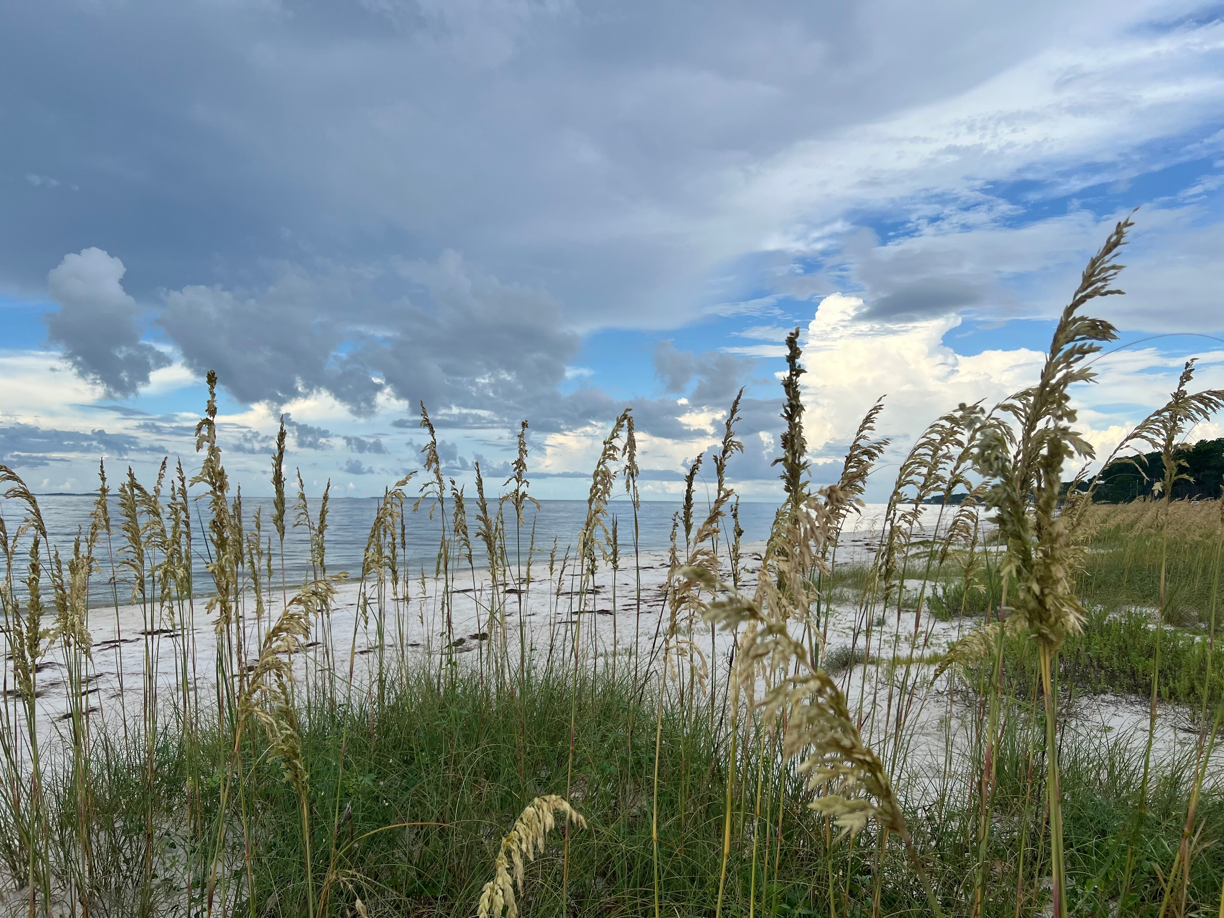 The Old Carrabelle Hotel-官方